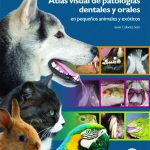 Atlas visual de patologías dentales y orales en pequeños animales y exóticos