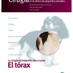 El tórax. Cirugía en la clínica de pequeños animales