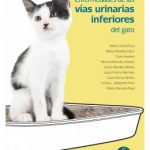 Enfermedades de las vías urinarias inferiores del gato