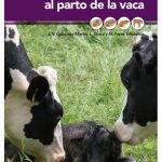 Guía de atención al parto de la vaca
