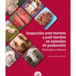 Inspección ante mortem y post mortem en animales de producción