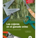 Las cojeras en el ganado ovino. Clínica y prevención