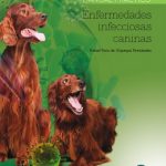 Enfermedades infecciosas caninas