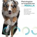 Patologías ortopédicas de la rodilla