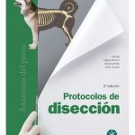 Protocolos de disección